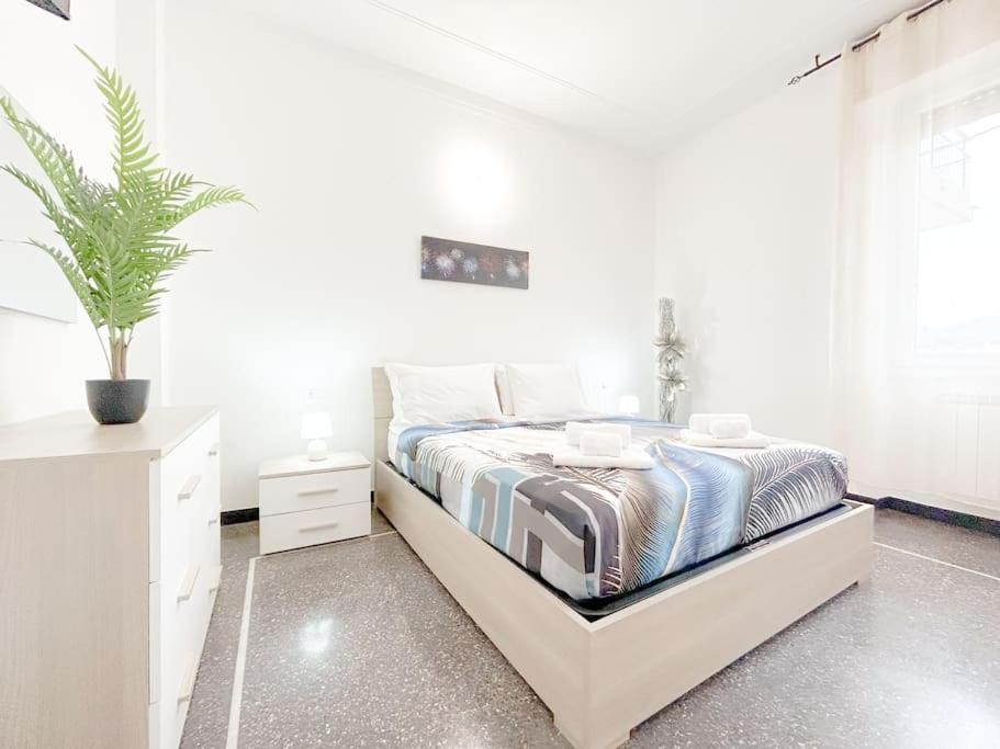 Elegant Apartment - Wifi - Smart Tv - Netflix Genova Exterior foto